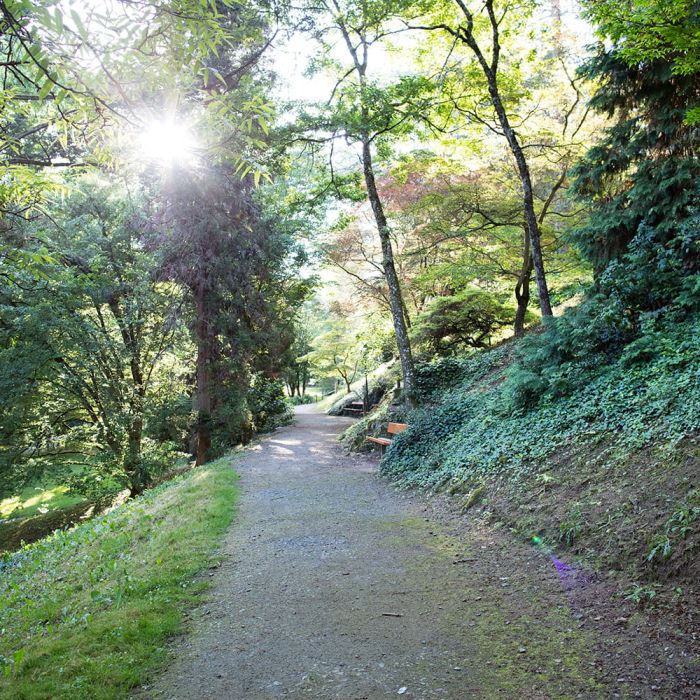 neris-les-bains-IMG_8563-o